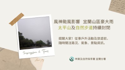 風神颱風過後共伴效應影響減低  太平山10/24（五）上午8時恢復開園